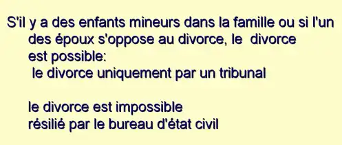 S'il y a des enfants mineurs dans la famille ou si l'un
des époux s'oppose au divorce, le divorce
est possible:
le divorce uniquement par un tribunal
le divorce est impossible
résilié par le bureau d'état civil