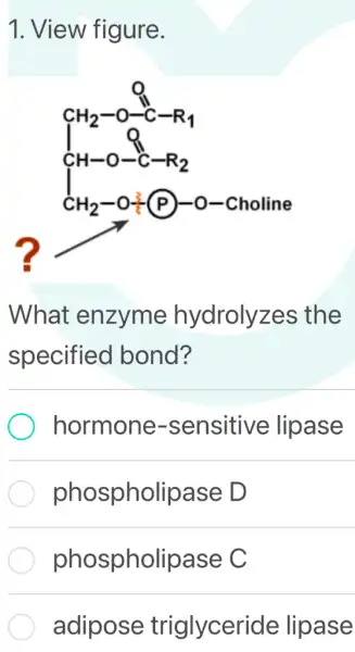 1. View figure.
CH_(2)-O_(2)^2-H_(1) H_(2)-O=O-R_(2) H_(2)-O+(H)-O-Choline
What enzyme hydrolyzes the
specified I bond?
hormone -sensitive lipase
phospholipase , D
phospholipase e
adipose triglyceride lipase