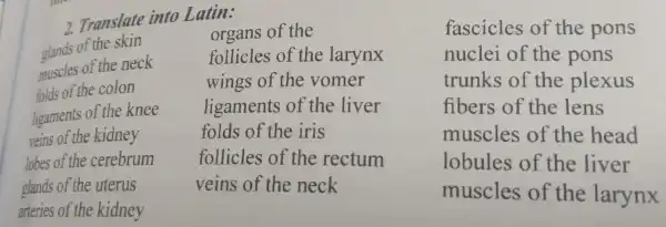 2. Tran slate into Latin:
glands of the skin
muscles of the neck
folds of the colon
ligaments of the k nee
vein of the kidney
lobes of the cere brum
gland Is of the uterus
arteries of the kidney
organs of the
follicles s of the larynx
wings o f the von ner
ligamer ts of the liver
folds of th e iris
fo llicle s of the rectum
veins of the neck
fas cicles of th e pons
nuclei of the pons
trunks of the e plexus
fibers of th e lens
mus cles of th e head
lobules of the liver
mus cle s of the e larynx