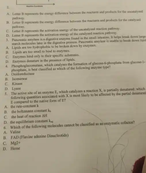 2.
A. Letter B represents the energy difference between the reactants and products for the uncatalyzed
pathway.
B. Letter B represents the energy difference between the reactants and products for the catalyzed
pathway.
C. Letter B represents the activation energy of the uncatalyzed reaction pathway.
D. Letter B represents the activation energy of the catalyzed reaction pathway.
3. Pancreatic amylase is a digestive enzyme found in the small intestine. It helps break down large
starch molecules later in the digestive process. Pancreatic amylase is unable to break down lipid
A. Lipids are too hydrophobic to be broken down by enzymes.
B. Lipids are too small to bind to enzymes.
C. Enzymes bind only to their specific substrates.
D. Enzymes denature in the presence of lipids.
4. Phosphoglucomutase which catalyses the formation of glucose-6 -phosphate from glucose-1-
phosphate,is best classified as which of the following enzyme type?
A. Oxidoreductase
B. Isomerase
C. Kinase
D. Lyase
5. The active site of an enzyme E which catalyzes a reaction X, is partially denatured:which
following quantities associated with X is most likely to be affected by the partial denaturati
E compared to the native form of E?
A. the rate-constant k
B. the boltzmann constant k_(b)
C. the heat of reaction Delta H
D. the equilibrium constant k_(eq)
6. Which of the following molecules cannot be classified as an enzymatic cofactor?
A. Valine
B. FAD (Flavine adenine Dinucleotide)
C. Mg2+
D. Heme