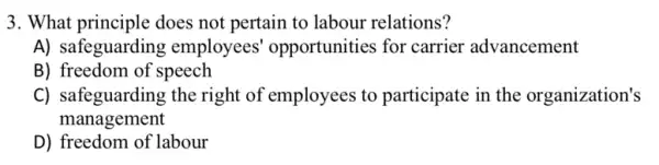 3. What principle does not pertain to labour relations?
A) safeguarding employees'opportunities for carrier advancement
B) freedom of speech
C) safeguarding the right of employees to participate in the organization's
management
D) freedom of labour