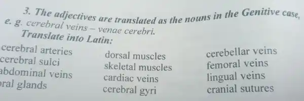 3.The adjectives are translated as the nouns in the Genitive case,
e.g . cerebral veins-venae cerebri.
Translate into Latin:
cerebral arteries
cerebellar veins
femoral veins
lingual veins
cranial sutures
cerebral sulci
skeletal muscles
abdomina veins