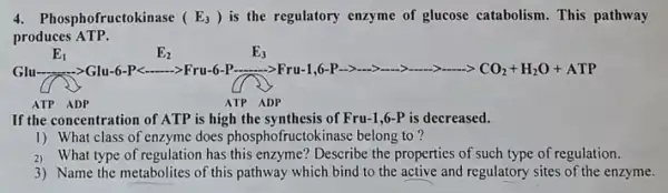 4. Phosphofructokinase (E_(3)) is the regulatory enzyme of glucose catabolism. This pathway
produces ATP.
If the concentration of ATP is high the synthesis of Fru-1,6-P is decreased.
1) What class of enzyme does phosphofructok inase belong to ?
2) What type of regulation has this enzyme? Describe the properties of such type of regulation.
3) Name the metabolites of this pathway which bind to the active and regulatory sites of the enzyme.