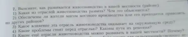 7. Buscumrre, kak pasumaeres (palione)
1) Kakast 113 orpaciei KIMOTHOBOLCINa passwrra? Yes
II3 Apyritx paitoHoB?
3) Kakoe Annoente ora orpacit KHBOTHOBOZCTBa OKa3biBaer Hà okpyxaiontyio cpexy?
4) Kaxie impo6neMbi CTONT neper orpaciblo? Kakosbi nyTII IK pemenua?
5) Kakme eme orpacill KIIBOTHOBOLCTBA MONHO pa33MBaTB Batteit MecrHocru? Howevy?