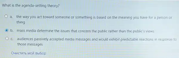 What is the agenda -setting theory?
a. the way you act toward someone or something is based on the meaning you have for a person or
thing
C b. mass media determine the issues that concern the public rather than the public's views
c. audiences passively accepted media messages and would exhibit predictable reactions in response to
those messages
OUNCTMT b MOM Bbl6OP