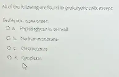 Al of the following are found?prokaryotic cells except:
a. Pepridogycan in cell wall
Oh Nuclear membrane
c. Chromosome
d. Cytoplasm