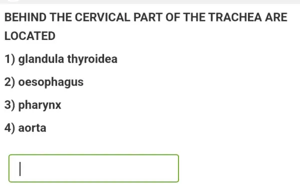 BEHIND THE CERVICAL PART OF THE TRACHEA ARE
LOCATED
1) glandula thyroidea
2) oesophagus
3) pharynx
4) aorta
square