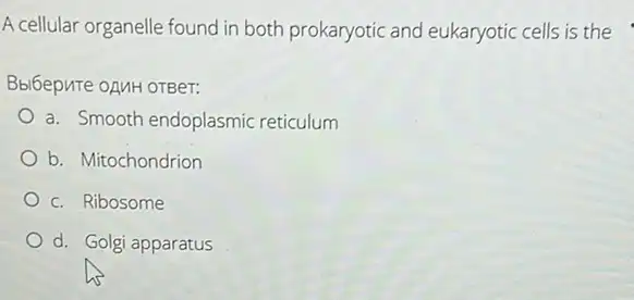 A cellular organelle found in both prokaryotic and eukaryotic cells is the
Bbl6epure oAMH OTBeT:
a. Smooth endoplasmic reticulum
b. Mitochondrion
c. Ribosome
d. Golgi apparatus