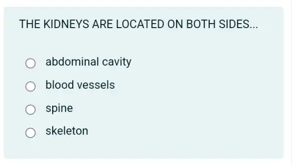 THE KIDNEYS ARE LOCATED ON BOTH SIDES __
abdominal cavity
blood vessels
spine
skeleton