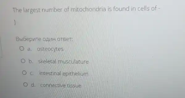 The largest number of mitochondria is found in cells of
otbet:
a. osteocytes
b. skeletal musculature
c. intestina epithelium
d. connective tissue