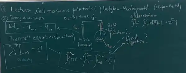 a Lecture.Cell membrane potentials () Hodgkin-Haxleymodel (4th from the end
Theory discussion	A the change of	chem cquation.
Delta 4_(m)=4_(ar)-4_(in)	4_(out)
Gass J=M_(0)+kTlnC+zF4
Theorell equation moastion
colation
atside	Nernst
sum T_(m)=0
(compare)
nequation
Curtents	M_(rest)=M_(11)-sqrt (H_(24))=0