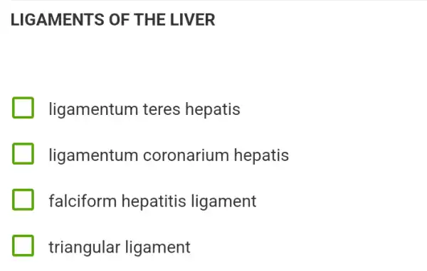 LIGAMENTS OF THE LIVER
ligamentum teres hepatis
ligamentum coronarium hepatis
falciform hepatitis ligament
triangular ligament