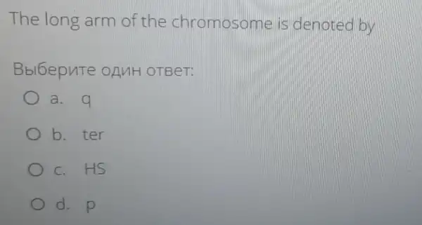 The long arm of the chromosome is denoted by
Bbl6epuTe OLINH OTBeT:
a. q
b. ter
c. HS
d. p