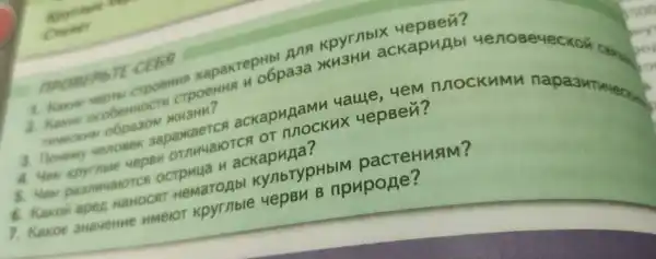 moosembite CEB
2. Kakue ocobernoc o6pa3a XU3HH ackapuabl Menoseueckon
1. Karon vepre crpoenus xapakrepHb kpyrnblx
THUECKHA obpason mushu?
uepBy ornuare TCA OT nnocku ( 4epBeri nnockumu
5. Hew ocrpuua n ackapuna?
6. Kakoii sper HaHOCA THeMaTOAb KY/IbTypHbIM pacteHusiM?
7. Kakoe SHaMeHHE nmeror Kpyrnble yepBn B npupone?