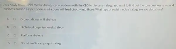 As a newly hired Social Media Strategist you sit down with the CEO to discuss strategy You want to find out the core business goals and t
business mission as your social media goals will feed directly into these.What type of social media strategy are you discussing?
A	Organizational unit strategy
High-level organizational strategy
Platform strategy
D	Social media campaign strategy