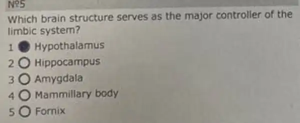 No5
Which brain structure serves as the major controller of the
limbic system?
1 Hypothalamus
Hippocampus
Amygdala
Mammillary body
Fornix