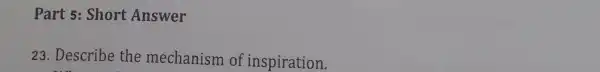 Part 5: Short Answer
23. Describe the mechanism of inspiration.