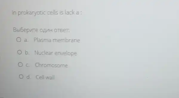 In prokaryotic cells is lack a:
Bblbepute oguH OTBeT:
a. Plasma membrane
b. Nuclear envelope
c. Chromosome
d. Cell wall