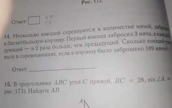 OTBeT: square 
PuC. 172
14 HecKOJIbKO FOHOLLIeH COPEBHYFOTCSI B KOJIHYeCTBE Mayeri 3aốpoue
B GacKeT60JIbHYF O KOP3HHY. -B 2 pa3a 60JIbIIIe . yem . CKOJIbKO FOHOLUeủ yuan
BaJIO B COPEBHOBaHHSIX ecjIH B KOP3HHY ObIJIO 3a6pollleHO 189 Mquei?
OTBer: __
15.B TpeyroJIbHHKC ABC yron C IIPSIMOH,
BC=28,sinangle A=
pHC. 173)Hainute AB.